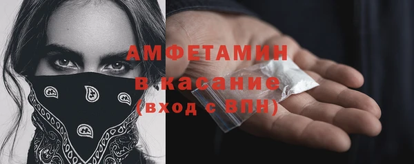 крисы Алексин