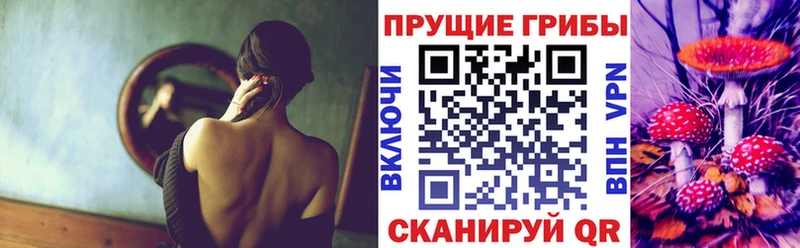 где можно купить наркотик  блэк спрут вход  Псилоцибиновые грибы прущие грибы  Разумное 